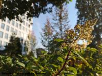 Imagine atasata: Openville - 2018.10.13 - 03.jpg
